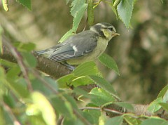 Benutzer&uuml;bermitteltes Bild