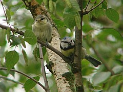 Benutzer&uuml;bermitteltes Bild