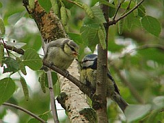 Benutzer&uuml;bermitteltes Bild