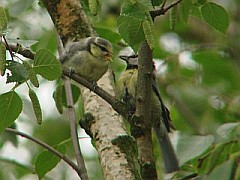 Benutzer&uuml;bermitteltes Bild