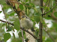 Benutzer&uuml;bermitteltes Bild