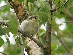 Benutzer&uuml;bermitteltes Bild