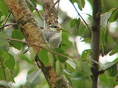 Benutzer&uuml;bermitteltes Bild