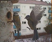 Benutzer&uuml;bermitteltes Bild