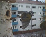 Benutzer&uuml;bermitteltes Bild