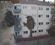 Benutzer&uuml;bermitteltes Bild