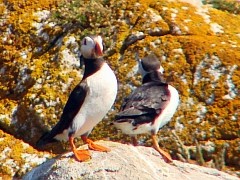 Benutzer&uuml;bermitteltes Bild