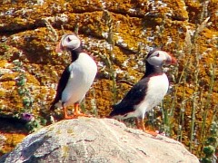 Benutzer&uuml;bermitteltes Bild