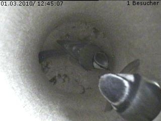 Benutzer&uuml;bermitteltes Bild