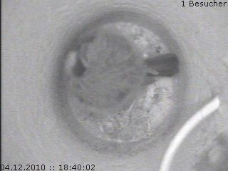 Benutzer&uuml;bermitteltes Bild