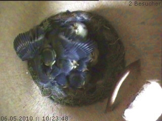 Benutzerübermitteltes Bild