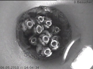 Benutzerübermitteltes Bild