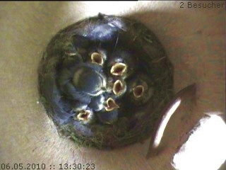 Benutzerübermitteltes Bild