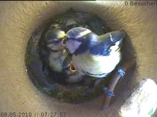 Benutzerübermitteltes Bild