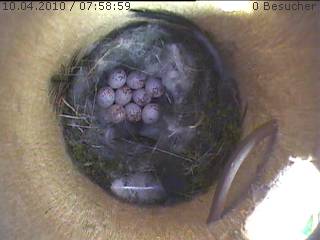 Benutzerübermitteltes Bild