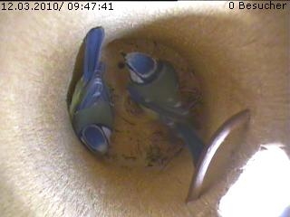 Benutzer&uuml;bermitteltes Bild