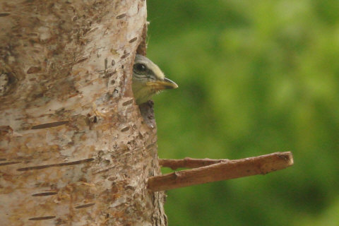 Benutzerübermitteltes Bild