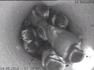 Benutzer&uuml;bermitteltes Bild