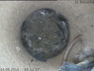 Benutzer&uuml;bermitteltes Bild