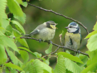 Benutzer&uuml;bermitteltes Bild