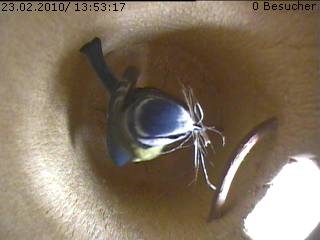 Benutzer&uuml;bermitteltes Bild