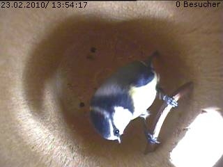 Benutzer&uuml;bermitteltes Bild