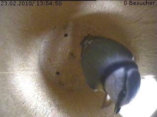 Benutzer&uuml;bermitteltes Bild