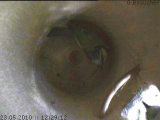 Benutzerübermitteltes Bild