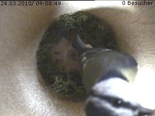 Benutzerübermitteltes Bild