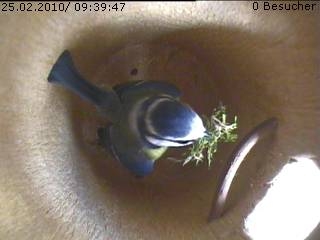 Benutzer&uuml;bermitteltes Bild