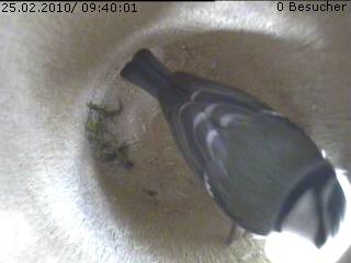 Benutzer&uuml;bermitteltes Bild