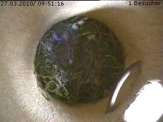 Benutzerübermitteltes Bild