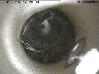 Benutzerübermitteltes Bild