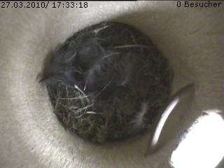 Benutzerübermitteltes Bild