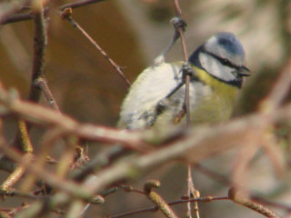 Benutzerübermitteltes Bild