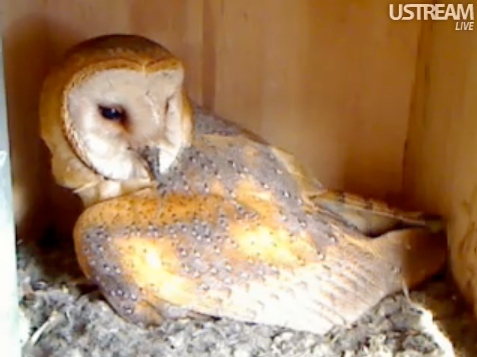 Benutzer&uuml;bermitteltes Bild