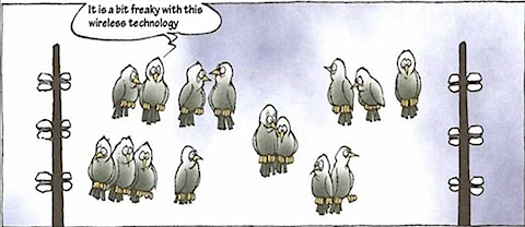 Benutzer&uuml;bermitteltes Bild