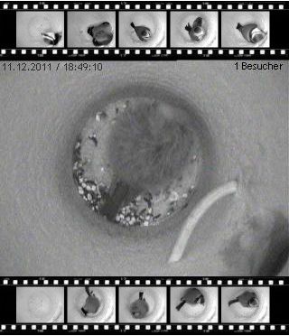 Benutzer&uuml;bermitteltes Bild