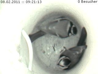 Benutzerübermitteltes Bild