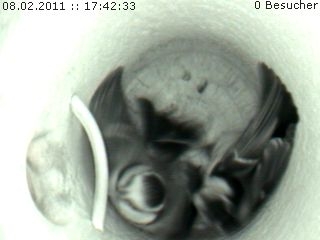 Benutzerübermitteltes Bild