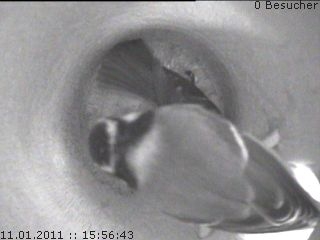 Benutzer&uuml;bermitteltes Bild