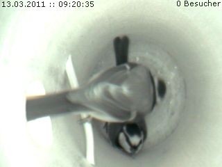 Benutzer&uuml;bermitteltes Bild