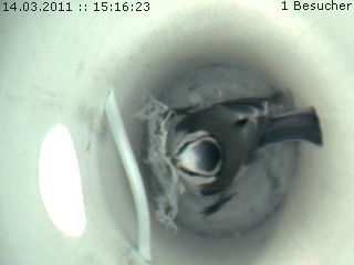 Benutzer&uuml;bermitteltes Bild