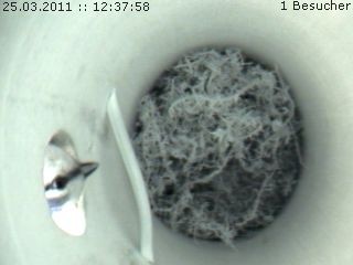 Benutzer&uuml;bermitteltes Bild