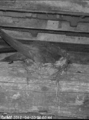 Benutzerübermitteltes Bild