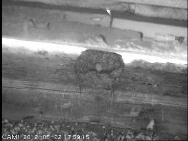 Benutzerübermitteltes Bild