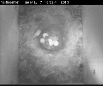 Benutzerübermitteltes Bild