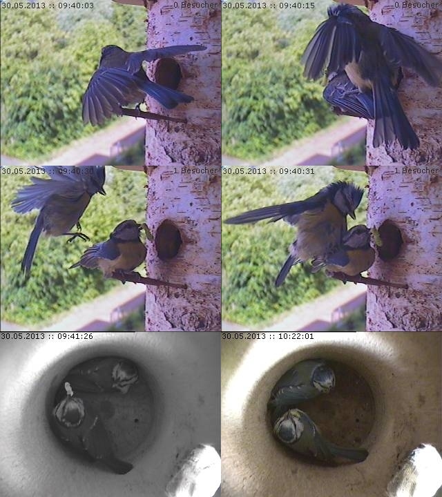 Benutzer&uuml;bermitteltes Bild