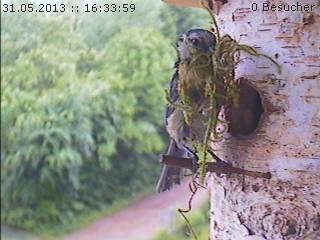 Benutzer&uuml;bermitteltes Bild