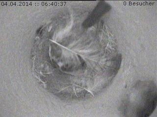 Benutzerübermitteltes Bild